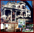Pecan Tree Inn logo